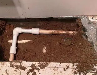 平果测漏水哪家好