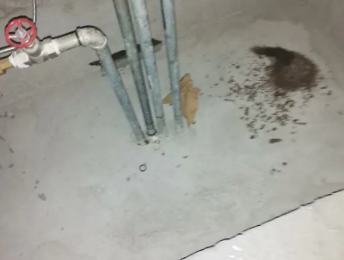 平果卫生间测漏水价格明细